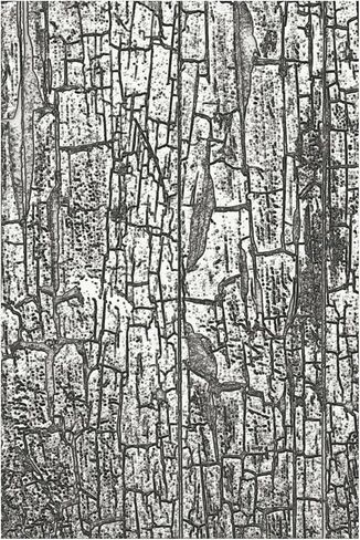 Sizzix 3D Texture Fades Embossing Folder By Tim Holtz-Cracked in Saudi Arabia