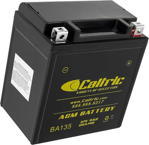 Caltric Agm Battery Compatible with Suzuki Gs500 2001 2002 / Gs500E 1990-2002 / Gs500F 2007 2008 2009 in Saudi Arabia