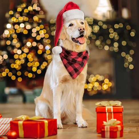 Christmas Dog Bandanas Plaid Two-Sided with Tassels,Flannel Tartan Dog Scarf Holiday,Pet Dog Bandanas Scotland 2 Pack,Winter Red Green Christmas Dog Bib Accessories for Large Dog(Red+Green) in Saudi Arabia