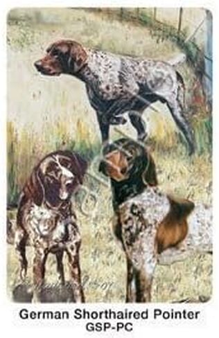 Best Friends Playing Cards, by Ruth Maystead - German Shorthaired Pointer in Saudi Arabia