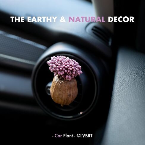 Dried Plants Air Freshener Vent Clips, Handmade Natural Forest Decor, Car Dashboard Accessories for Women & Girls (A+B, Unscented) in Saudi Arabia