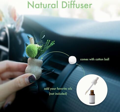 Dried Plants Air Freshener Vent Clips, Handmade Natural Forest Decor, Car Dashboard Accessories for Women & Girls (A+B, Unscented) in Saudi Arabia