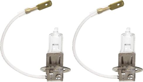 بطاقة لمبة إضاءة متعددة الأغراض من Wagner Lighting BP1255/H3 مكونة من قطعة واحدة in Saudi Arabia
