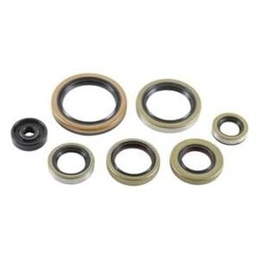 #US Spare Part for TE 250, 2017-2019, Engine Crank/Crankshaft/Oil Seal Set - TE250, TPI in Saudi Arabia