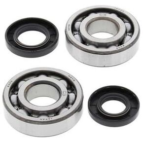 #US Spare Part for KXT 250 Tek-cate, 1984-1987, Crankshaft Bearings & Seal Kit - Crank Shaft in Saudi Arabia