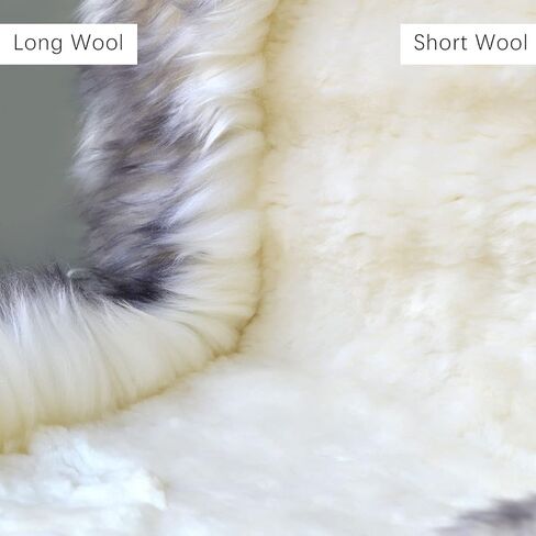 أغطية مقاعد السيارة من جلد الغنم العالمي سهلة التركيب من Gracefur، أغطية مقاعد من فراء الغنم الأسترالي الأصلي الدافئ للشتاء، وسادة هوائية متوافقة مع سيارات السيدان والشاحنات وسيارات الدفع الرباعي أو الشاحنات (أطراف رمادية) in Kuwait