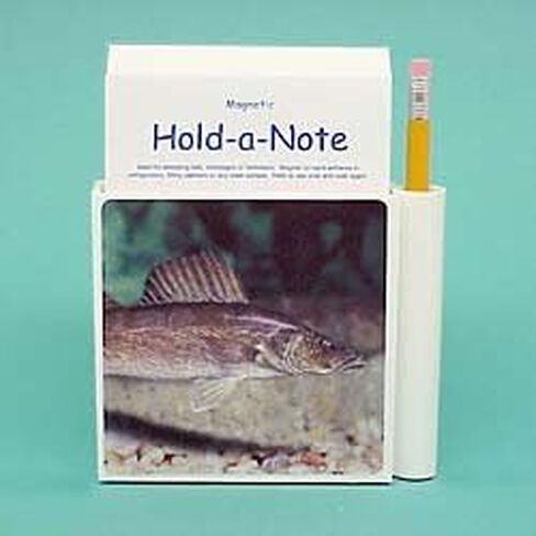 Walleye Hold-a-Note in Saudi Arabia