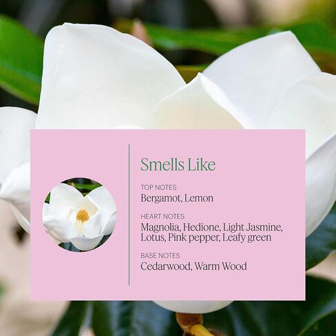 Aera Mini Pumpkin Spice Home Fragrance Scent Refill - Notes of Pumpkin, Clove and Vanilla - Works with Aera Mini Diffuser, Mini Scent Capsule Size - Limited Edition in Kuwait