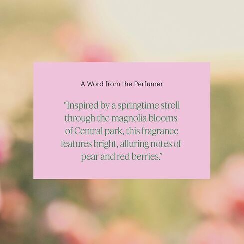 Aera Mini Pumpkin Spice Home Fragrance Scent Refill - Notes of Pumpkin, Clove and Vanilla - Works with Aera Mini Diffuser, Mini Scent Capsule Size - Limited Edition in Kuwait