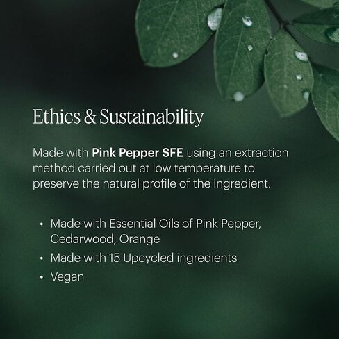 Aera Mini Pumpkin Spice Home Fragrance Scent Refill - Notes of Pumpkin, Clove and Vanilla - Works with Aera Mini Diffuser, Mini Scent Capsule Size - Limited Edition in Kuwait