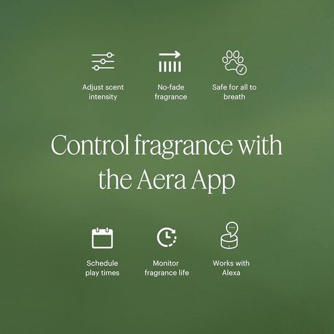 Aera Mini Pumpkin Spice Home Fragrance Scent Refill - Notes of Pumpkin, Clove and Vanilla - Works with Aera Mini Diffuser, Mini Scent Capsule Size - Limited Edition in Kuwait