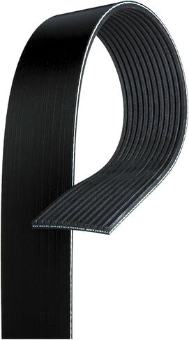 ACDelco Gold 12K858 (19310958) Standard V-Ribbed Serpentine Belt in Saudi Arabia