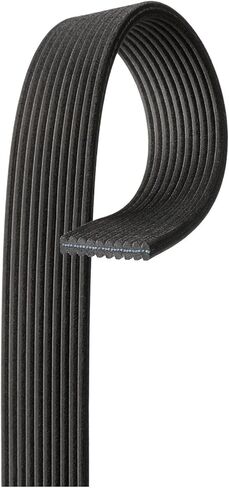ACDelco Gold 10DK743 Dual Sided V-Ribbed Serpentine Belt in Saudi Arabia