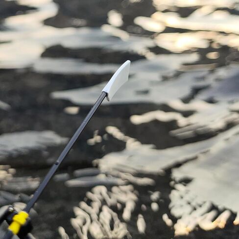 Rowing 8+ Alloy Model,a Birthday Present,Club Gifts,Souvenirs for Large-Scale competitions, Simulation Rowing Model in Saudi Arabia