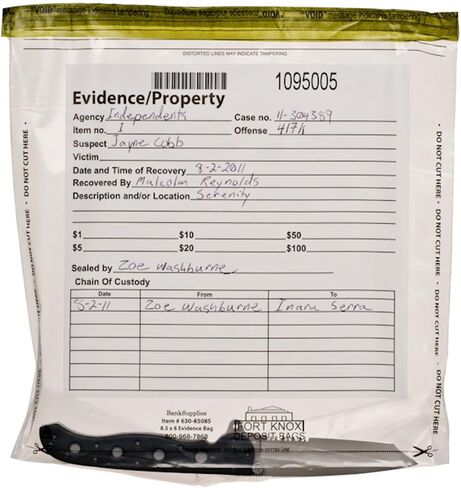 BankSupplies Clear Evidence Bags | Case of 100 | 9W x 12H | Tamper Evident Seal | Write-On Panel for Information | Plastic Safety Security Bag | Serial Numbers & Tear Off in Saudi Arabia