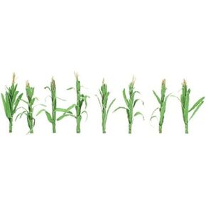 Flowering Plants, Corn Stalks, 2"