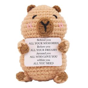 Mini Funny Positive Capybara, Knitted Wool Capybara Toy with Positive Card - Creative Cute Crochet Doll Cheer Up Keepsake Gift for Friends, Women, Student, Christmas (Patten1)