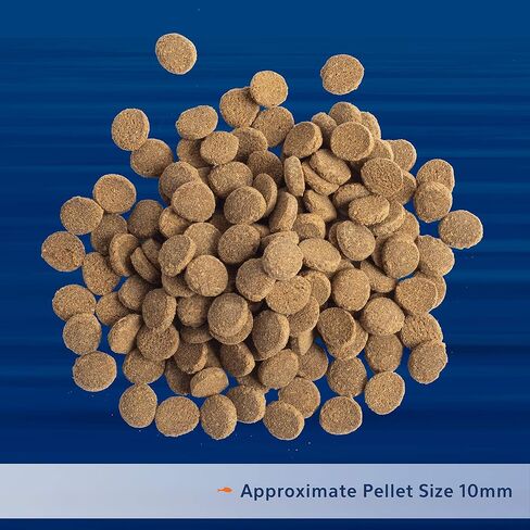 Aqueon PRO Pellet Fish Food Carnivore Formula 4.5 oz in Saudi Arabia