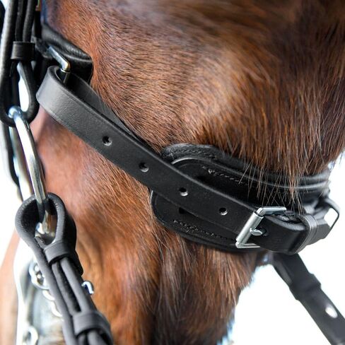 HORZE Laelia Weymouth Dressage Bridle in Saudi Arabia