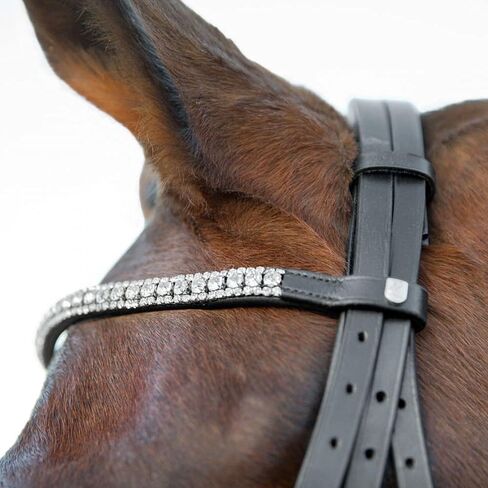 HORZE Laelia Weymouth Dressage Bridle in Saudi Arabia