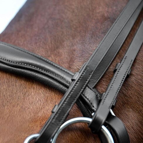 HORZE Laelia Weymouth Dressage Bridle in Saudi Arabia