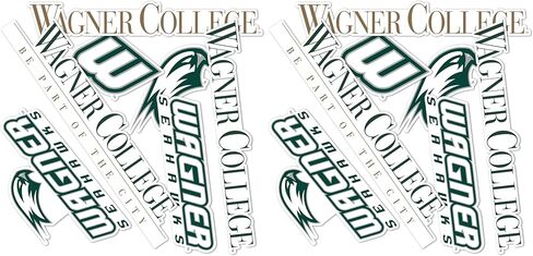 Desert Cactus Wagner College WC Seahawks Stickers Vinyl Decals Laptop Water Bottle Car Scrapbook T2 (Type 2) in Kuwait