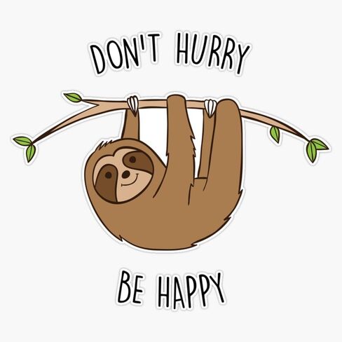 Don'T Hurry Be Happy Sloth Pun Sticker Vinyl Waterproof Sticker Decal Car Laptop Wall Window Bumper Sticker 5" in Saudi Arabia