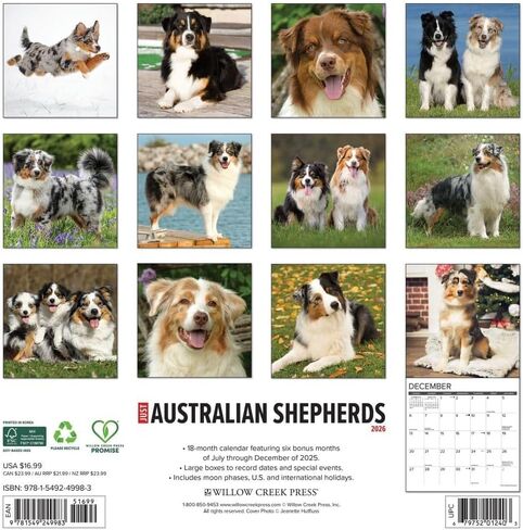 Willow Creek Press, Australian Shepherds Just 2026 Wall Calendar, 12'' X 12'', 18-Month Calendar with Stapled Binding in Saudi Arabia
