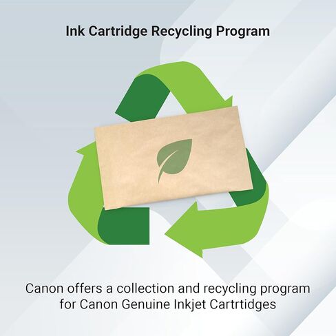 Canon PG-295XL Genuine Black Ink Cartridge, Compatible with TR7120, TS6520, TS4320 in Saudi Arabia