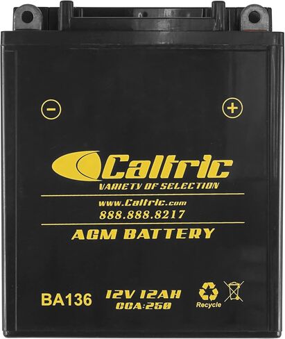 Caltric Yb12Al-A2 Agm Battery Compatible with Yamaha Fzr400 Fzr 400 1988 1989 1990 in Saudi Arabia
