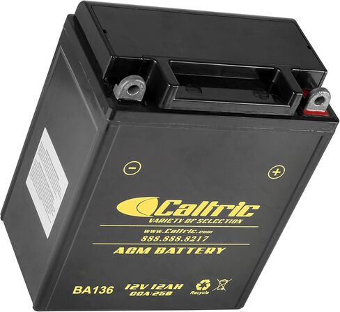 Caltric Yb12Al-A2 Agm Battery Compatible with Yamaha Fzr400 Fzr 400 1988 1989 1990 in Saudi Arabia