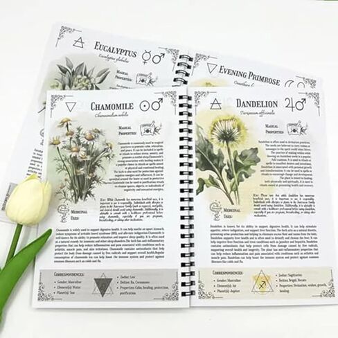 Witch's Herbal Codex, Green Spiral Notebook with Mortar and Pestle Design, 20.8 x 8.1 inch, Botanical Theme Journal in Saudi Arabia