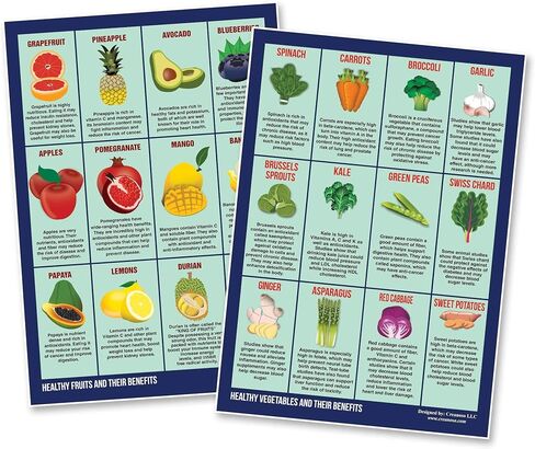 Creanoso Math Science Educational Learning Posters for Kindergarten and Elementary Students (12-Pack) - Teaching Guide for Homeschool Nursery Kindergarten Classroom – Preschool Poster for Kids in Saudi Arabia