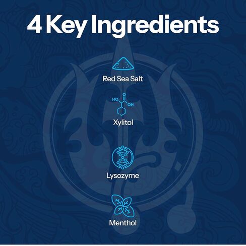 عبوتان من غسول الفم H2Ocean Healing Rinse - غسول الفم بملح البحر وإكسيليتول ذو المذاق الرائع للنفس المنعش والفم الجاف - خالي من الكحول والفلورايد - نعناع المحيط القطبي الشمالي، 16oz in Saudi Arabia