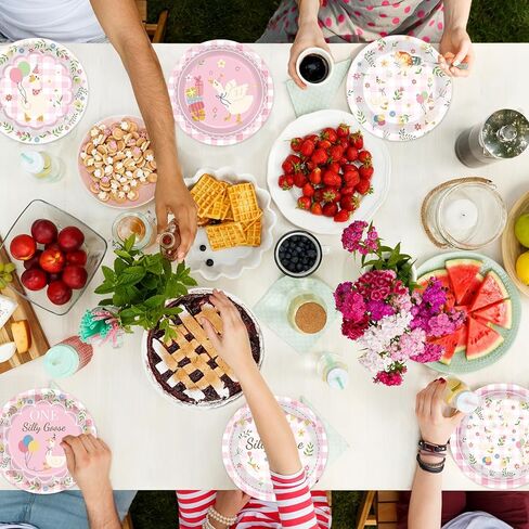 60 Pcs One Silly Goose Paper Plates Party Supplies Silly Goose Pink Gingham Birthday Decorations for Baby Shower Kids Birthday Family Picnic Camping Garden Tea Parties 6 Styles in Saudi Arabia