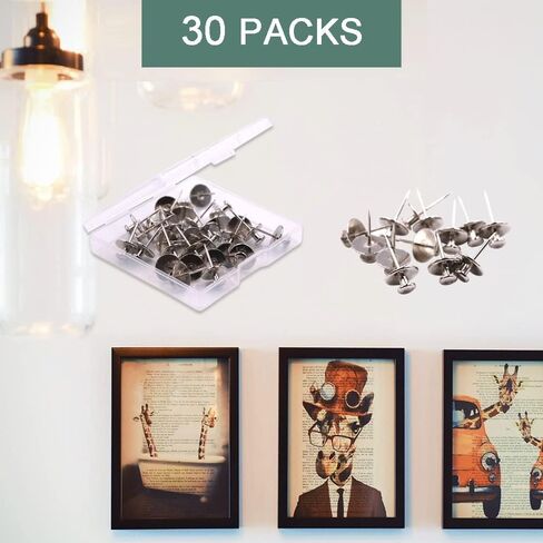 30 PCS Picture Hanger Nails, Double Headed Push Pins Hooks Thumbtacks for Wall Hangings Picture, Decorative Small Hook Pins for Drywall Cork Board Home Office Photo Decorations (Silver) in Saudi Arabia