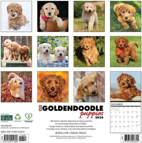 Willow Creek Press، تقويم حائط Just Goldendoodle Puppies 2026، 12 بوصة × 12 بوصة، تقويم 18 شهرًا مع غلاف مثبت in Kuwait