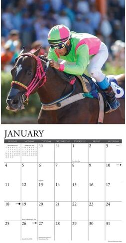 Willow Creek Press, Horse Racing 2026 Wall Calendar, 12'' X 12'', 18-Month Calendar with Stapled Binding in Saudi Arabia