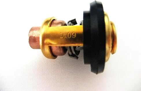66M-12411-00-00 66M-12411-01-00 19300-ZW9-003 4-stroke Boat Motor Thermostat For Yamaha in Saudi Arabia