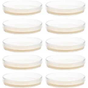 ULTECHNOVO Sciences Nutrient Agar Petri Dishes 10pcs Pre-Poured Agar Plates for Mushrooms, Home Test Kit, or for Science Fair Projects in Kuwait