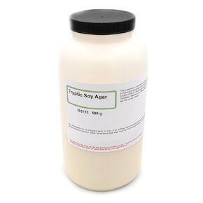 Innovating Science Tryptic Soy Agar 500g, Makes 12 Liters of Medium