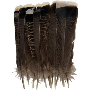 White Feathers,Natural Big Long Goose Feather,8-10 inches (20-25cm),Large Size Bilateral Feathers,Left and Right Wings for Crafts,Bulk 12pcs (Natural White)