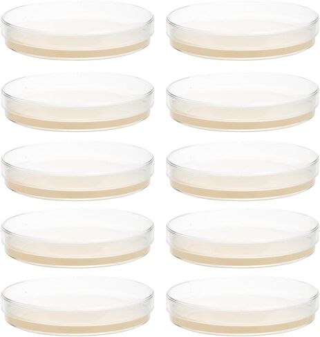 ULTECHNOVO Sciences Nutrient Agar Petri Dishes 10pcs Pre-Poured Agar Plates for Mushrooms, Home Test Kit, or for Science Fair Projects in Kuwait