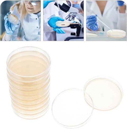 ULTECHNOVO Sciences Nutrient Agar Petri Dishes 10pcs Pre-Poured Agar Plates for Mushrooms, Home Test Kit, or for Science Fair Projects in Kuwait