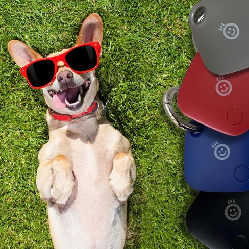 Lost and Found - 4-Pack Smart Locator Tag, Item Finder for Keys, Wallet, Luggage, Pets, Compatible with Apple 'Find My' App (Black/Blue/Red/Silver) in Saudi Arabia
