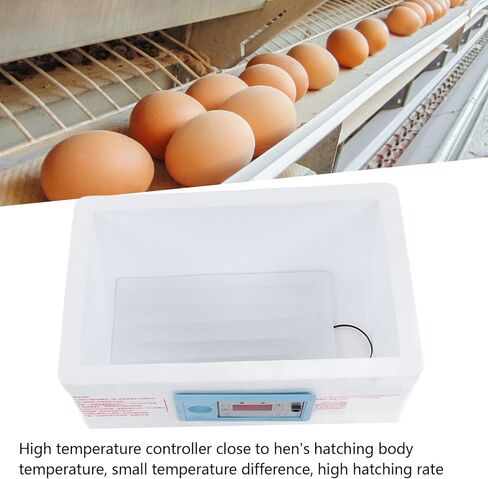 حاضنة الدجاج YYQTGG، رغوة شمع البيض متعددة الوظائف المنزلية بقابس أمريكي 100‑240 فولت، حاضنة بيض لتفريخ الكتاكيت الصغيرة المحمولة رؤية 360 درجة مع نافذة شفافة in Kuwait