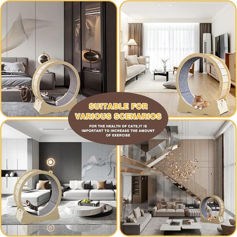 عجلة تمرين القطط LiiZee للقطط الداخلية، قطرها 35.4 بوصة عجلة الجري للقطط، عجلة جري متينة للقطط مع آلية قفل، تشغيل مستقر وهادئ لصحة القطط in Kuwait