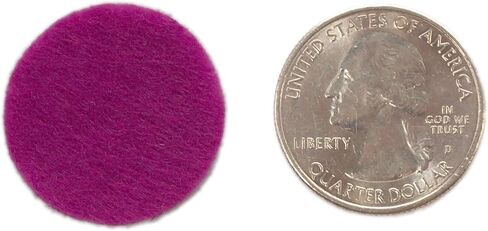 Playfully Ever After Magenta Craft Felt Circles (5 Inch - 18pc) in Saudi Arabia