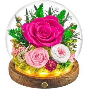 زهور محفوظة في كرة زجاجية مع شريط LED، قطعتان من الورود الحقيقية إلى الأبد هدية للنساء في الذكرى السنوية، وعيد الميلاد، وعيد الحب (أرجواني فاتح) in Kuwait