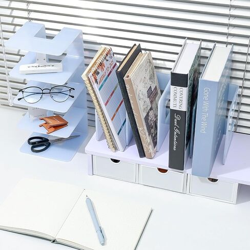 BAYTORY 2Pcs Acrylic File Holder Purse Organizer, Sturdy Desktop File Sorter Organizer, Binder Shelf for Office Desk Kitchen Shelf Closet (Purple) in Saudi Arabia